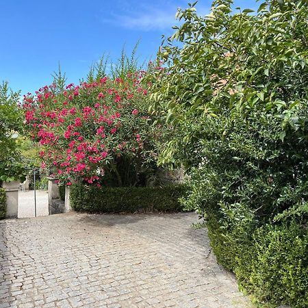 塞洛里科·达贝拉Quinta Santo Antonio Do Rio别墅 外观 照片