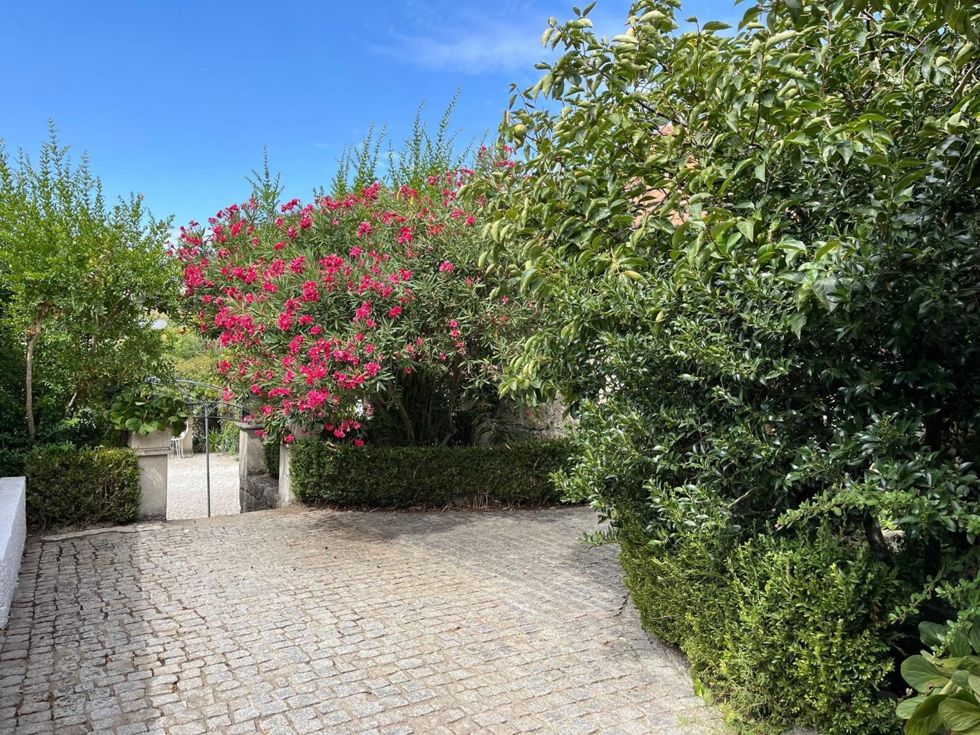 塞洛里科·达贝拉Quinta Santo Antonio Do Rio别墅 外观 照片