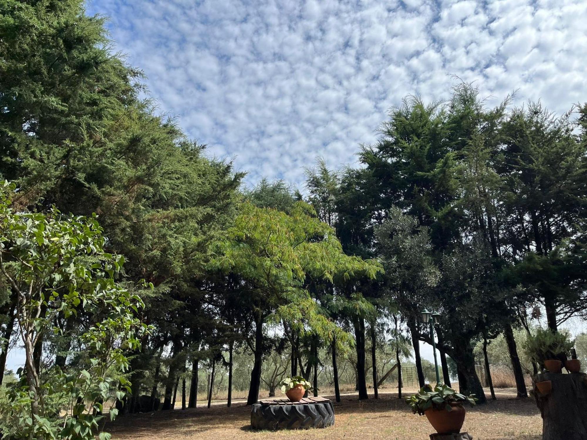 塞洛里科·达贝拉Quinta Santo Antonio Do Rio别墅 外观 照片