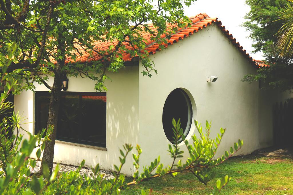 塞洛里科·达贝拉Quinta Santo Antonio Do Rio别墅 外观 照片
